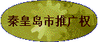 �ػʵ����ƹ�Ȩ