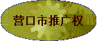 Ӫ�����ƹ�Ȩ