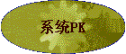 ϵͳPK