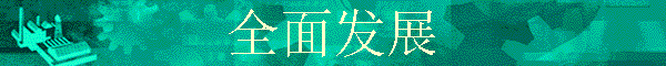 ȫ�淢չ