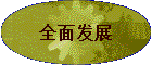 ȫ�淢չ