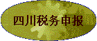 �Ĵ�˰���걨
