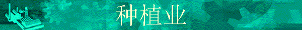 ��ֲҵ