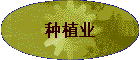 ��ֲҵ